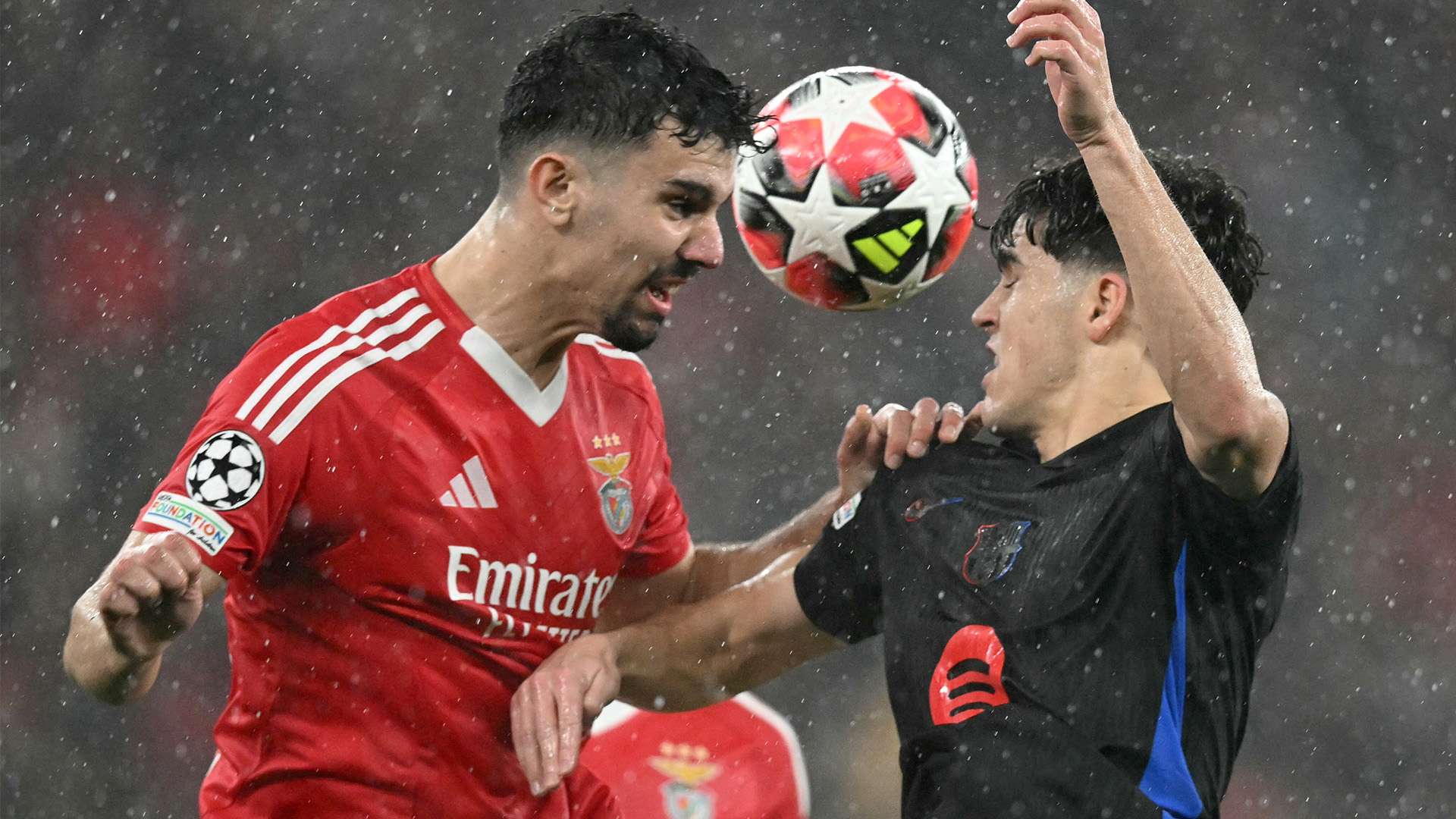 强化青训体 强化青训体